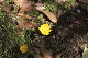 image0269