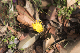 image0270