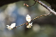 image0271