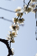 image0272