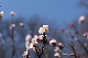 image0273