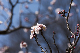 image0274