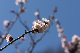 image0276