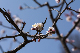 image0277