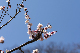image0278