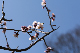 image0279