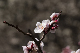 image0281