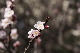 image0283