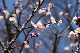 image0286