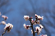 image0287