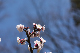image0288