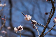 image0289