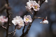 image0291