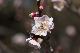 image0292