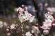 image0293