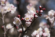 image0294