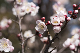 image0295