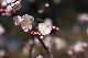 image0297