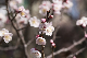 image0299