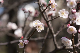 image0300