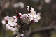 image0301