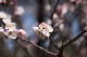 image0303
