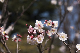 image0305