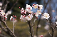 image0307