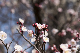 image0308