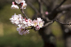 image0309