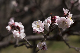 image0311