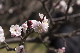 image0312