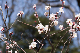 image0316