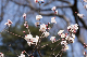 image0317