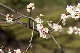 image0321