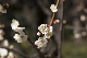 image0322