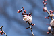 image0326
