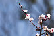 image0327