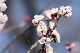 image0330