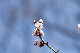 image0331