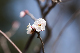 image0332