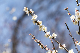 image0333