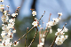 image0334