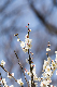 image0337