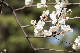 image0338