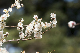 image0339