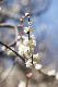 image0342