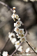 image0343