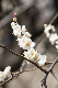 image0344