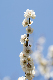 image0347